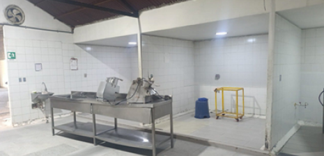Planta Cartagena 1